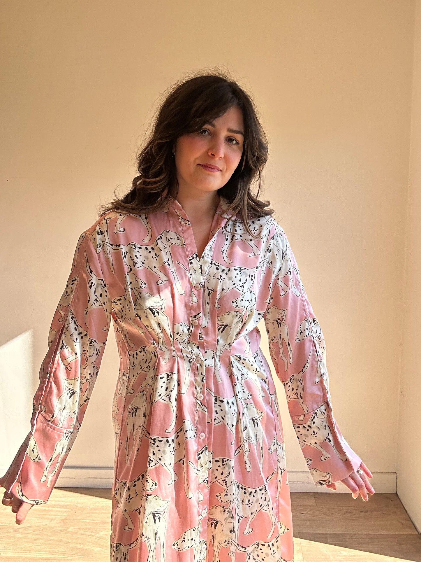 Zara Satin Dog Print Dress, XS