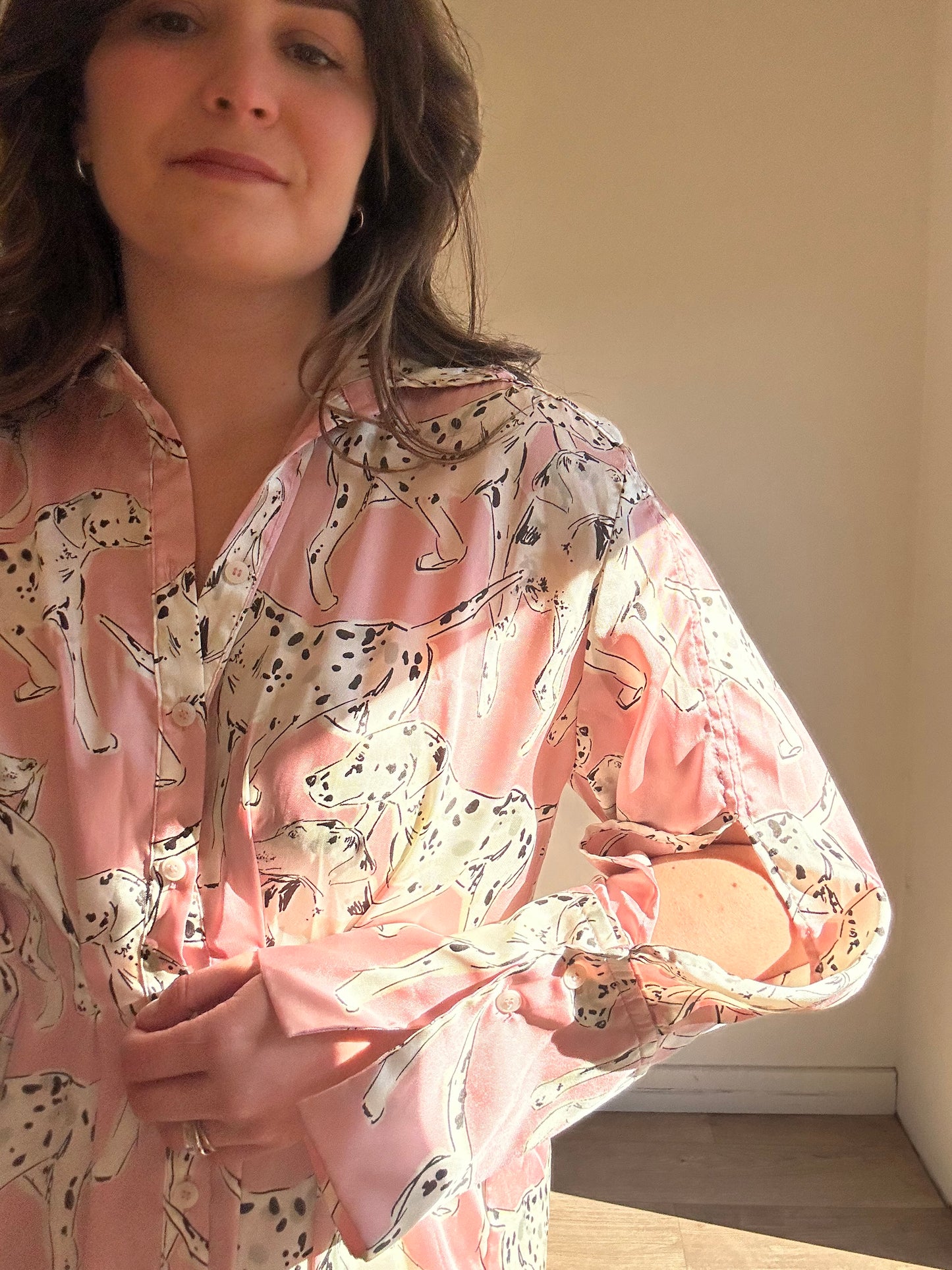 Zara Satin Dog Print Dress, XS