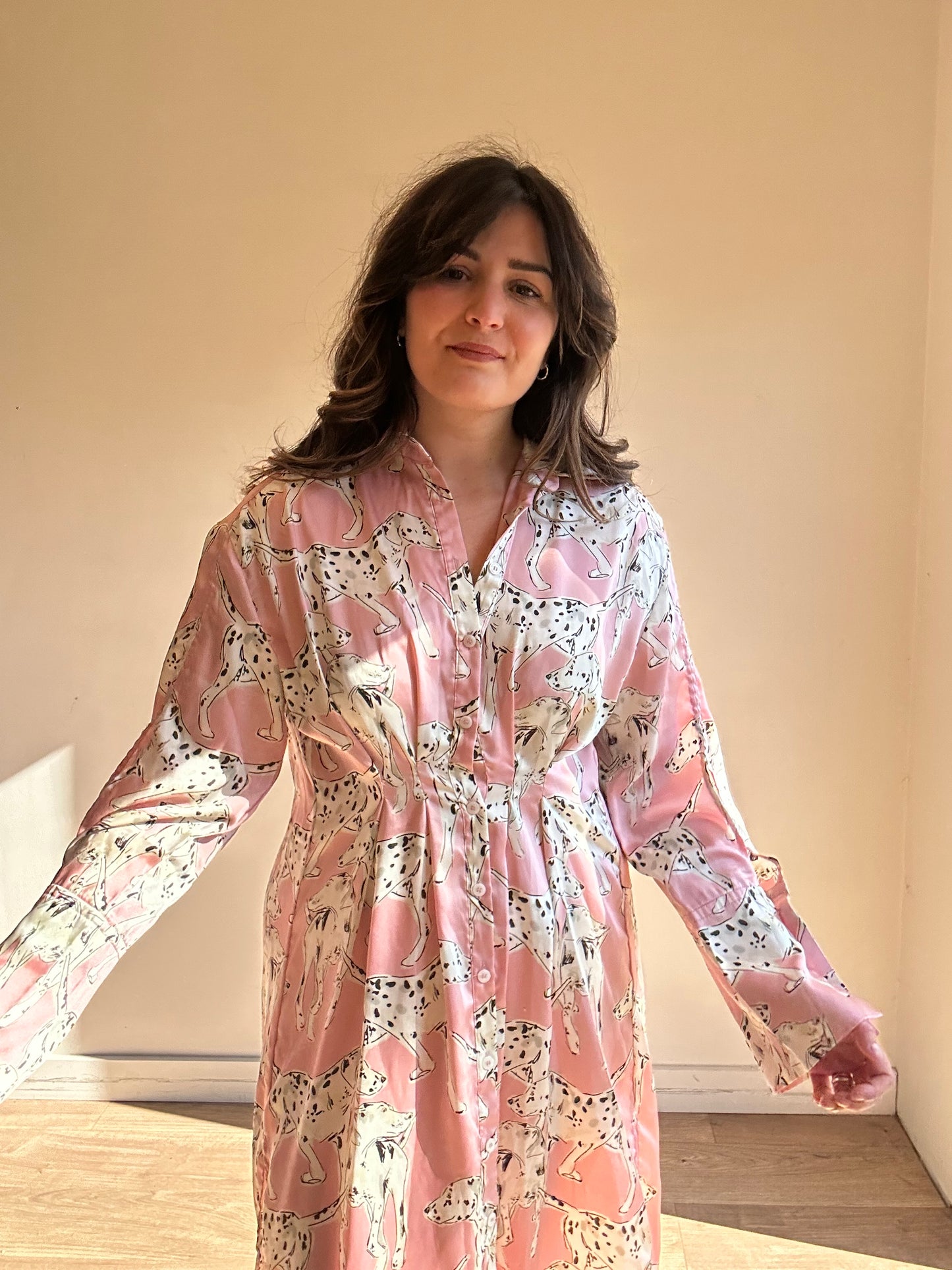 Zara Satin Dog Print Dress, XS