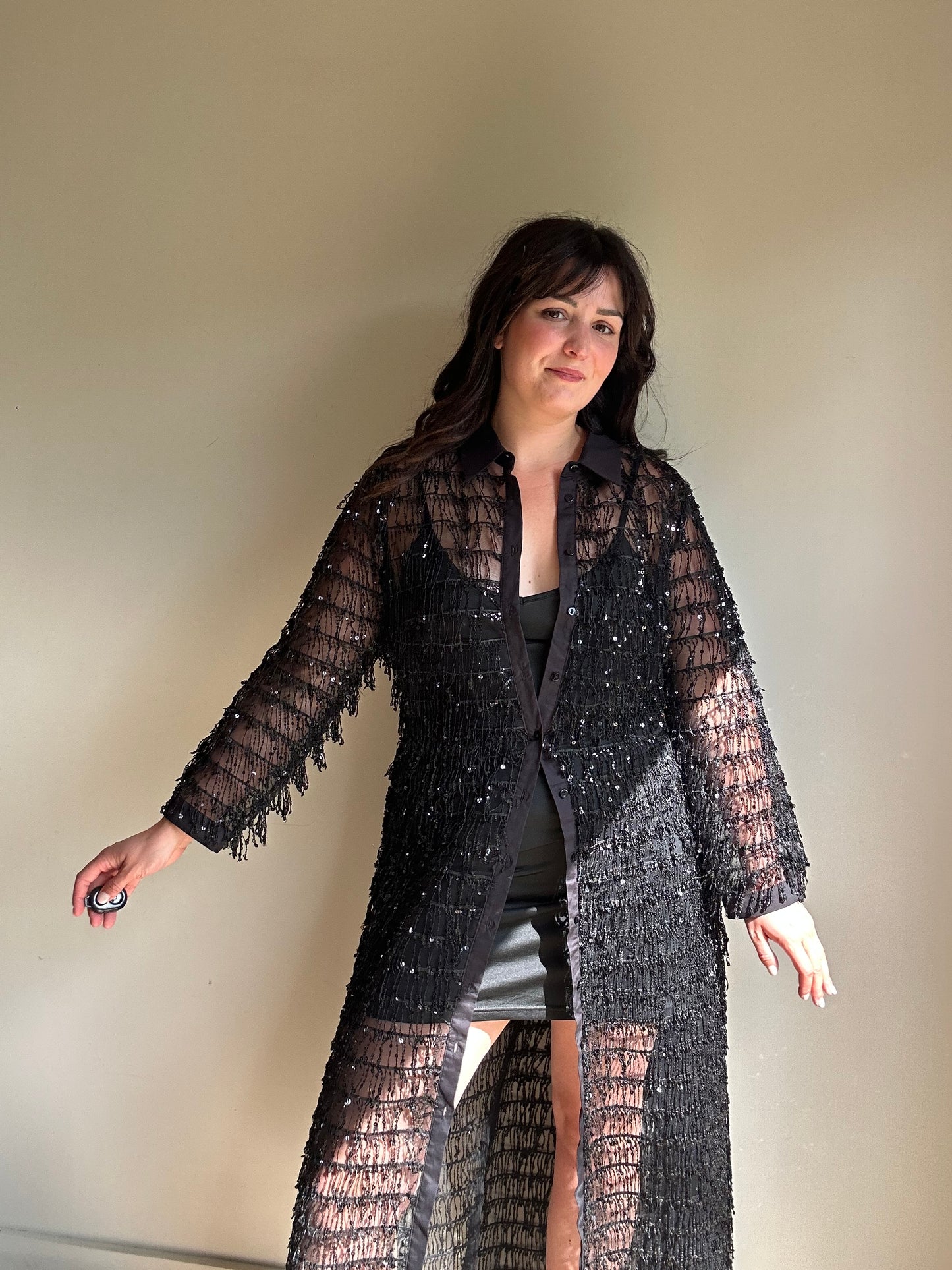 Zara Sequin Fringe Shirt Dress, L