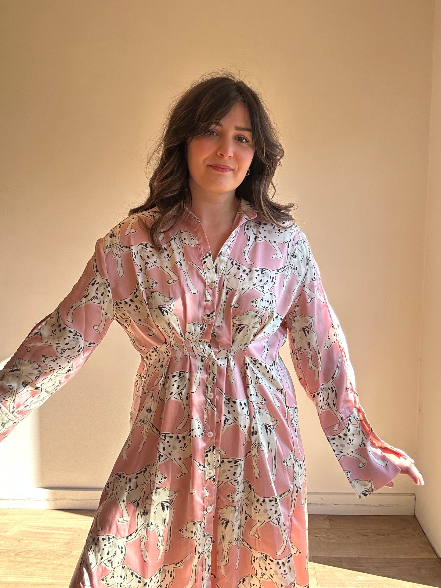 Zara Satin Dog Print Dress, XS