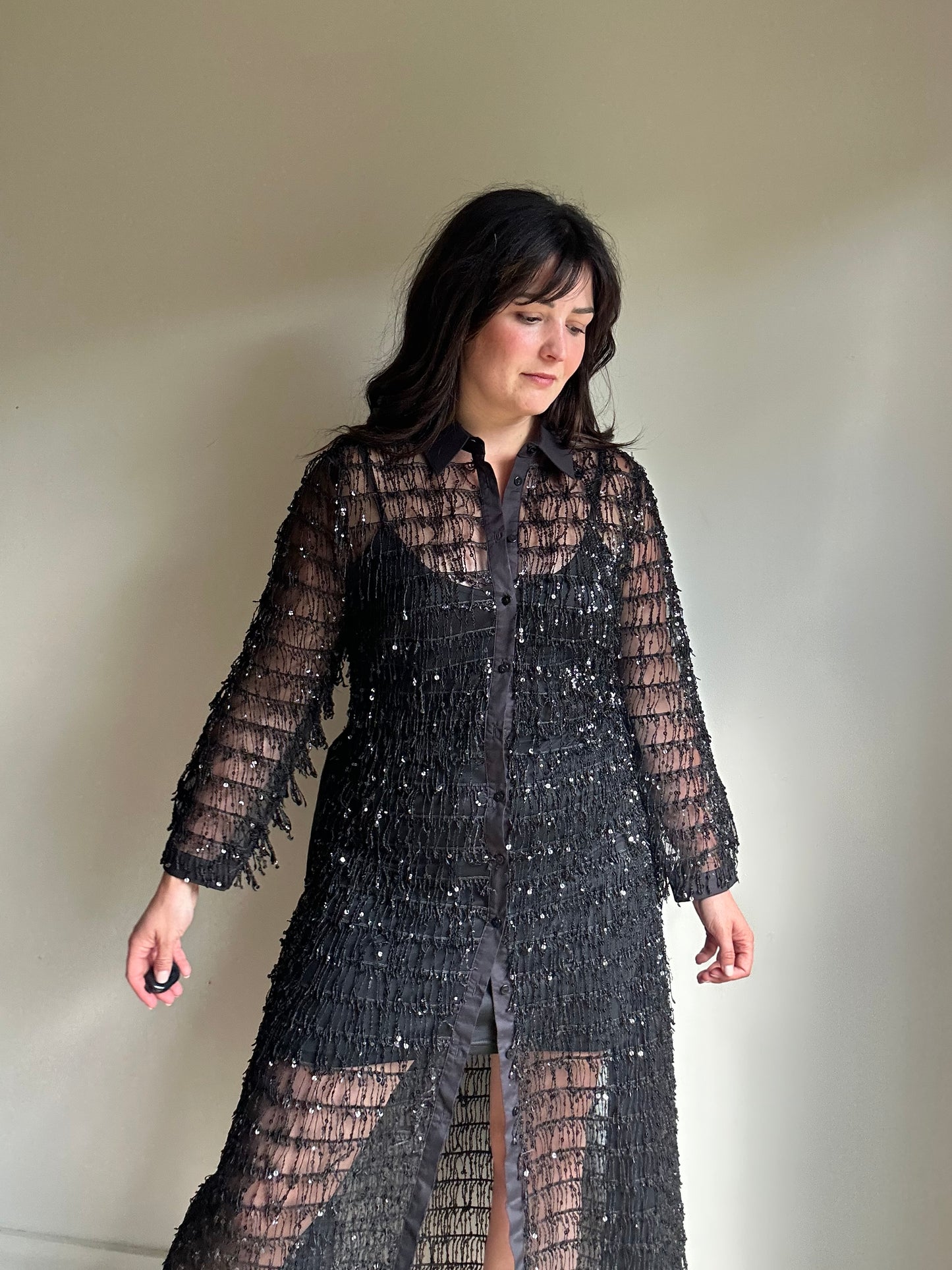 Zara Sequin Fringe Shirt Dress, L