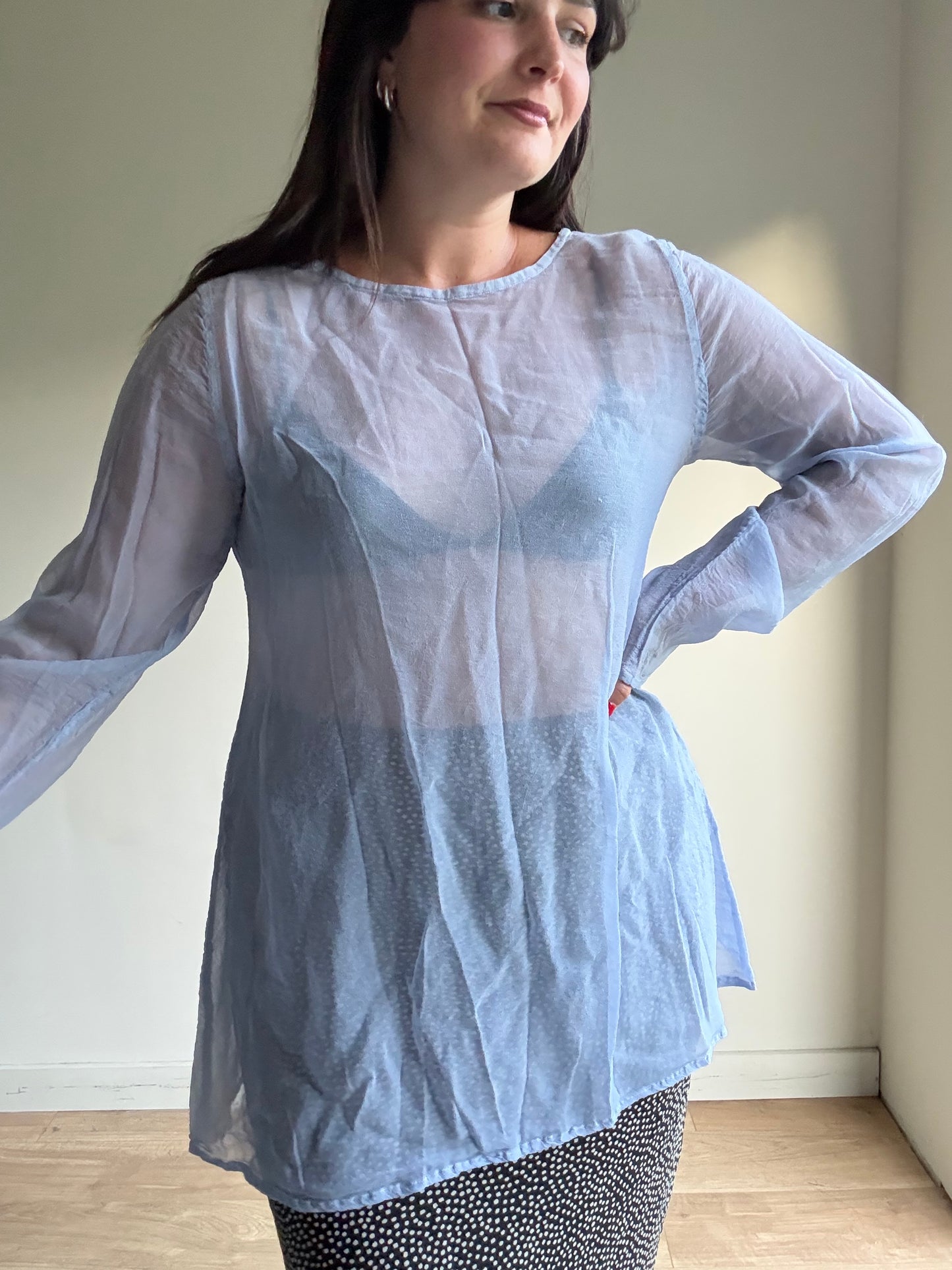 Vintage Ghost Sheer Silk Top, M