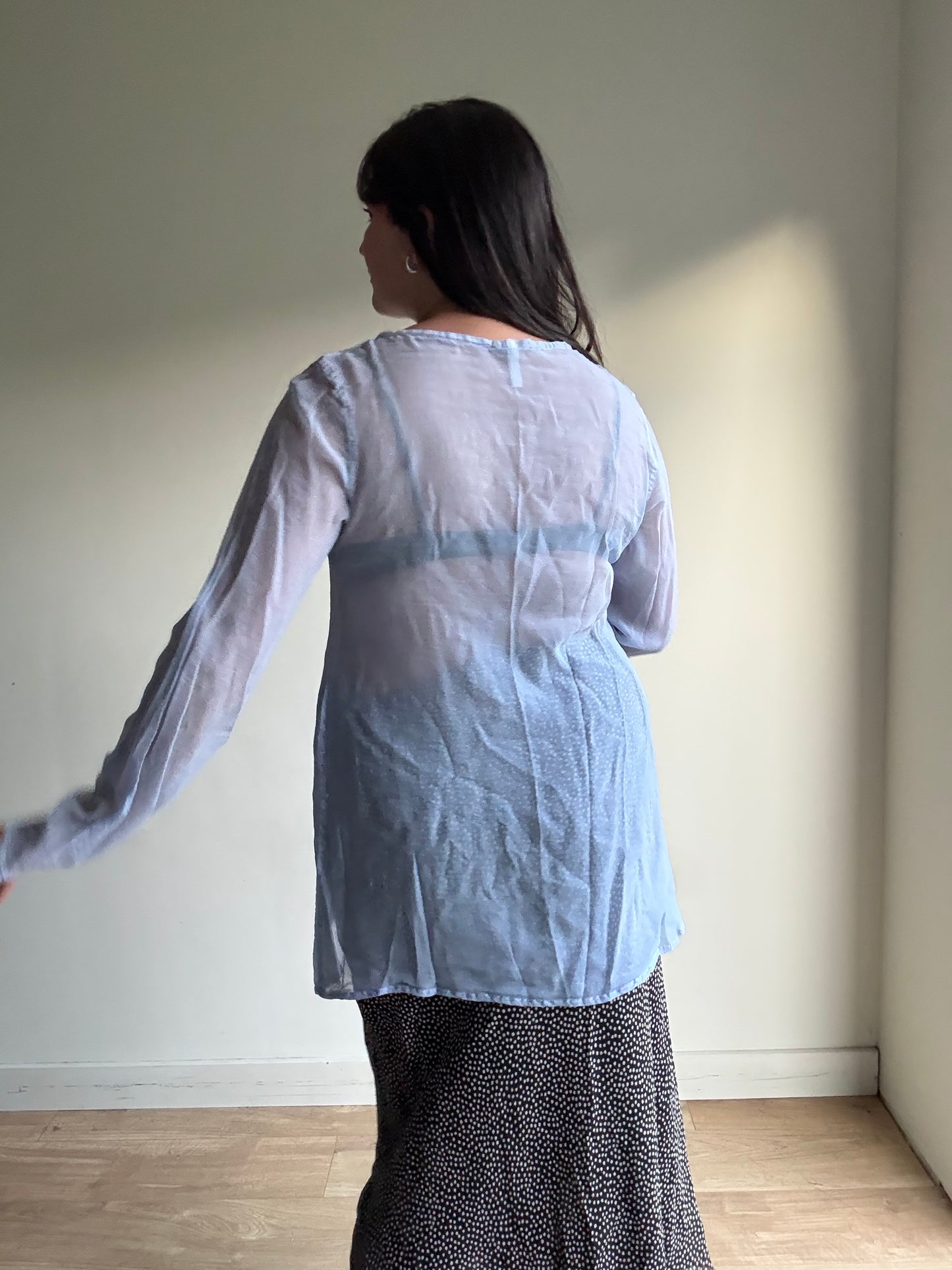 Vintage Ghost Sheer Silk Top, M