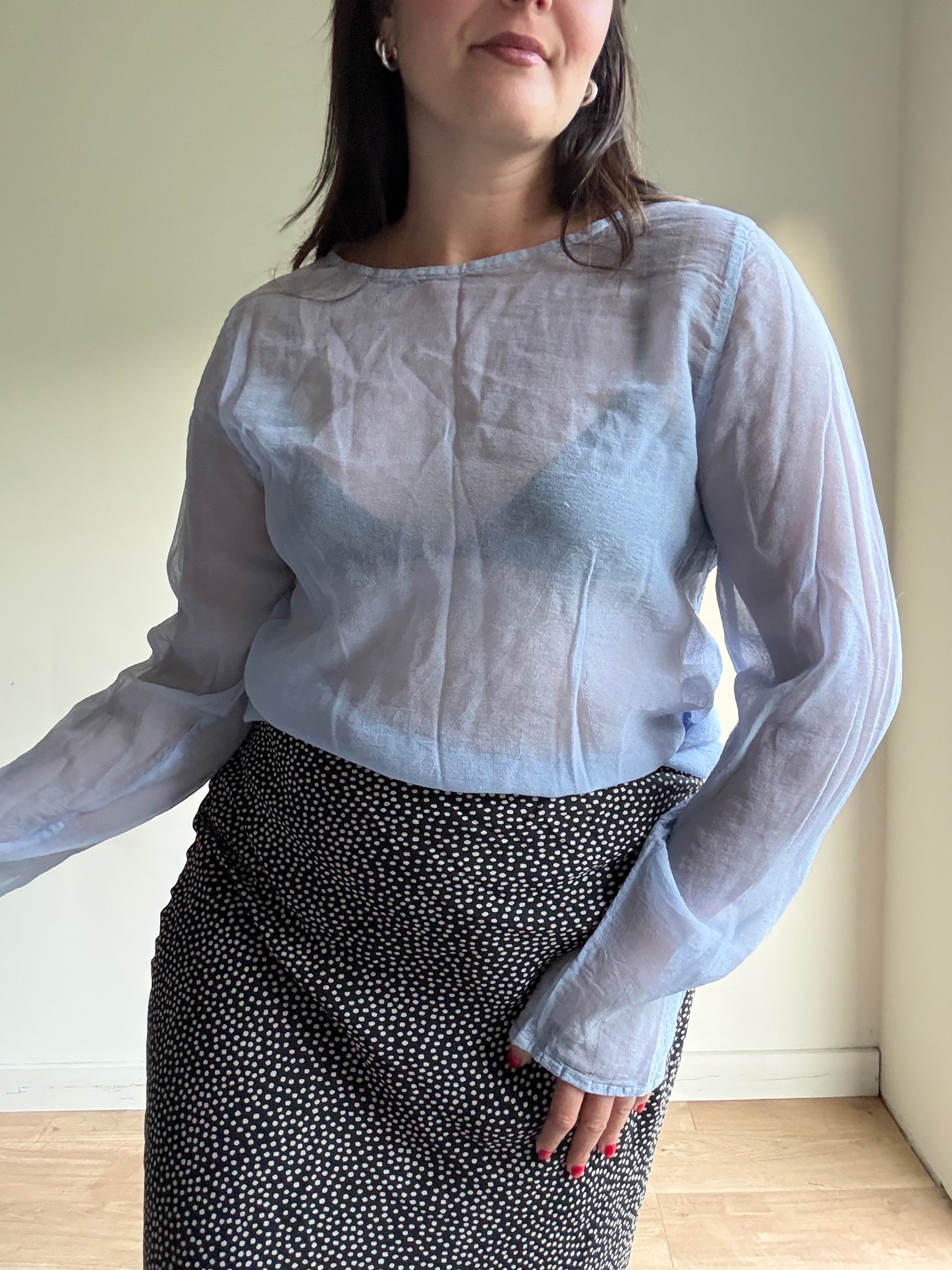 Vintage Ghost Sheer Silk Top, M