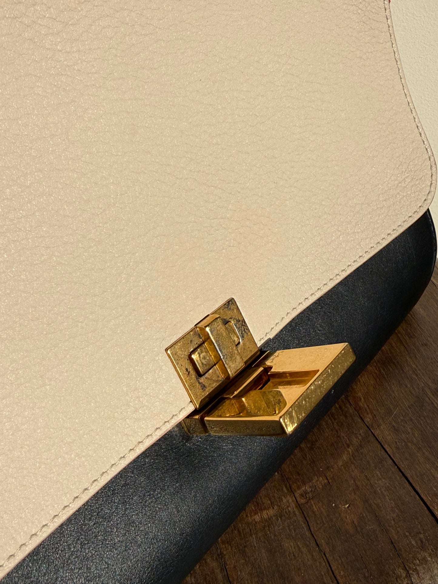 Celine Trapeze Tri-Colour Bag